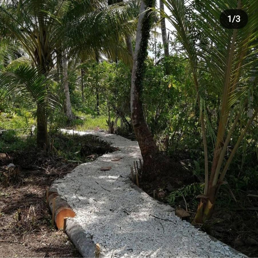 Palambak Paradise Resort Pulau Banyak Pulau Palambakbesar المظهر الخارجي الصورة