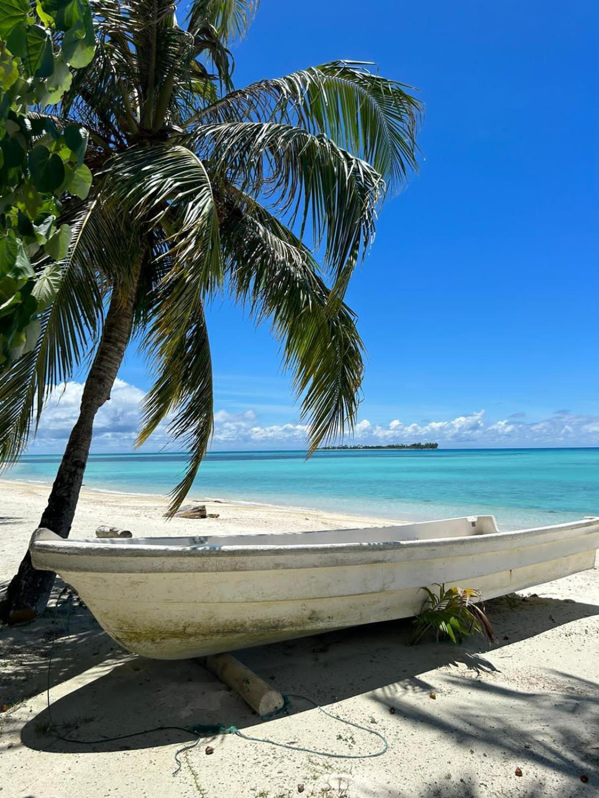 Palambak Paradise Resort Pulau Banyak Pulau Palambakbesar المظهر الخارجي الصورة